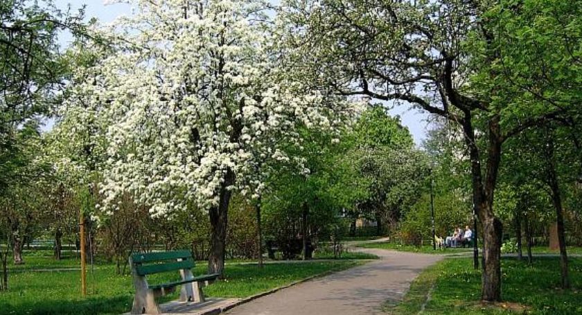Nowe zajęcia na Żoliborzu już za kilka dni!