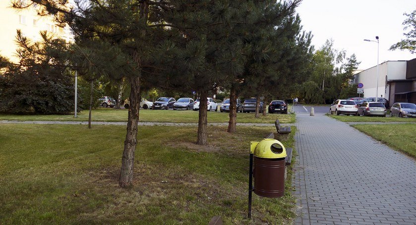 Marymoncka pielęgnacja drzew