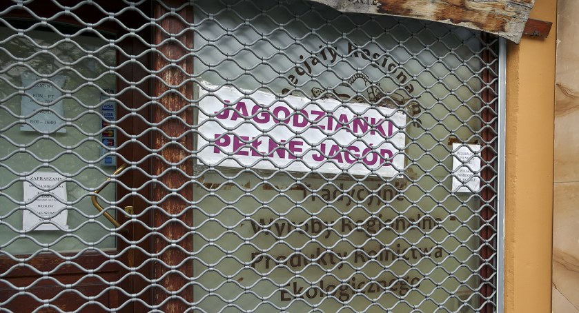 zdjęcie jagodzianki 
