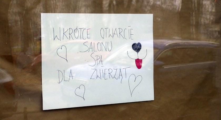 zdjęcie Plac Inwalidów 
