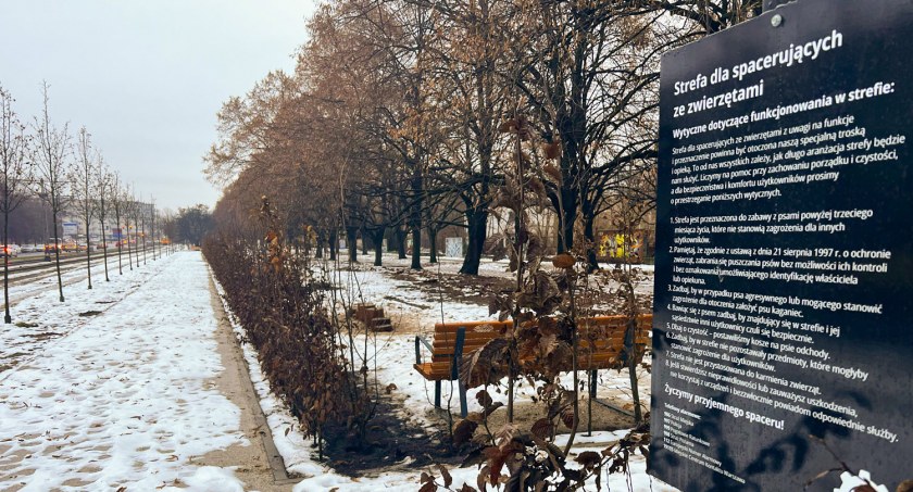 zdjęcie ulica Broniewskiego 