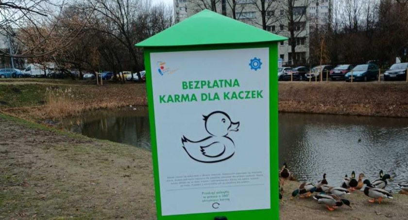 zdjęcie kaczkomat 