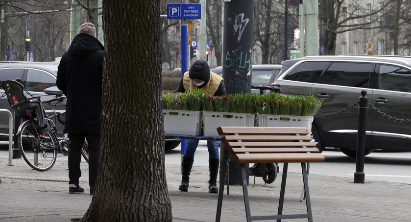 zdjęcie Plac Wilsona 