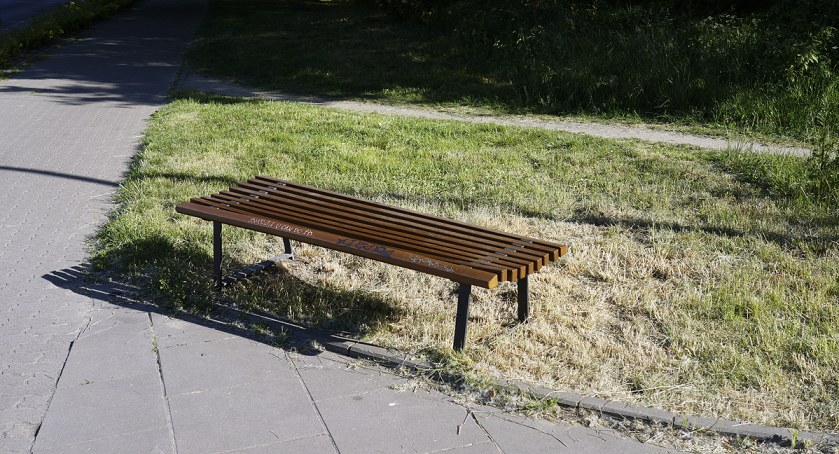 zdjęcie Ławki i trawa 
