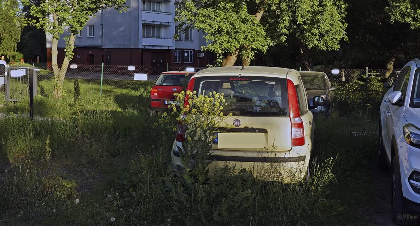 zdjęcie samochód wrak 
