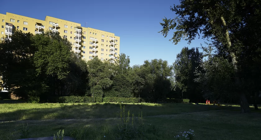 zdjęcie Marymont Potok 