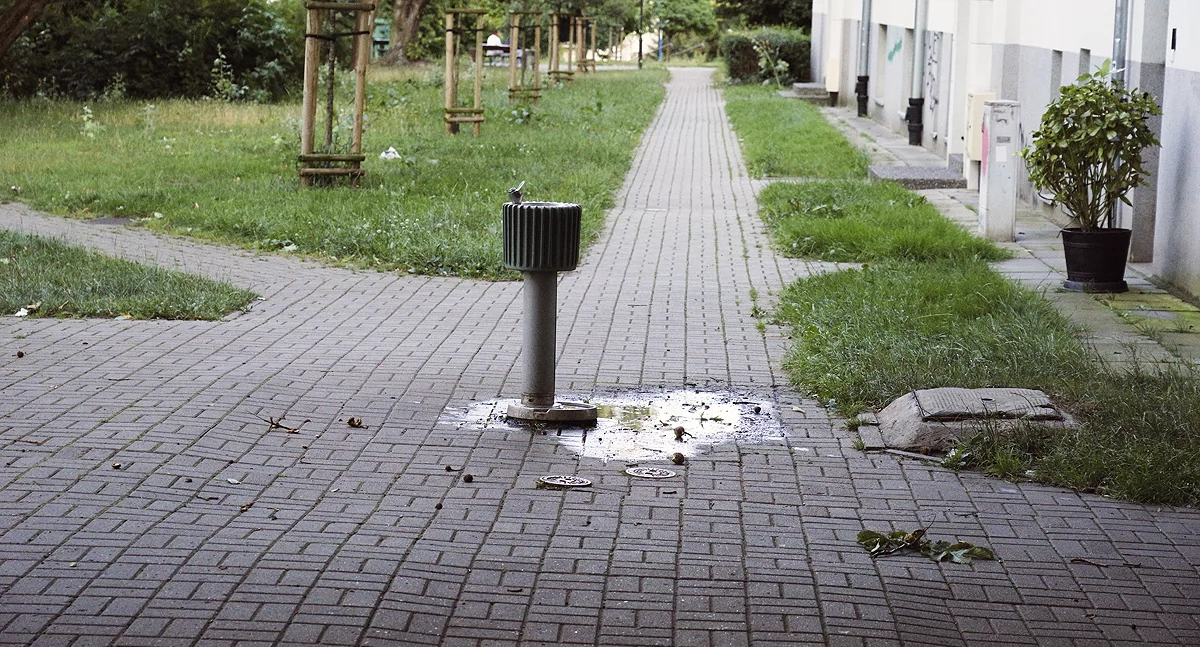 zdjęcie Poidełka na Żoliborzu