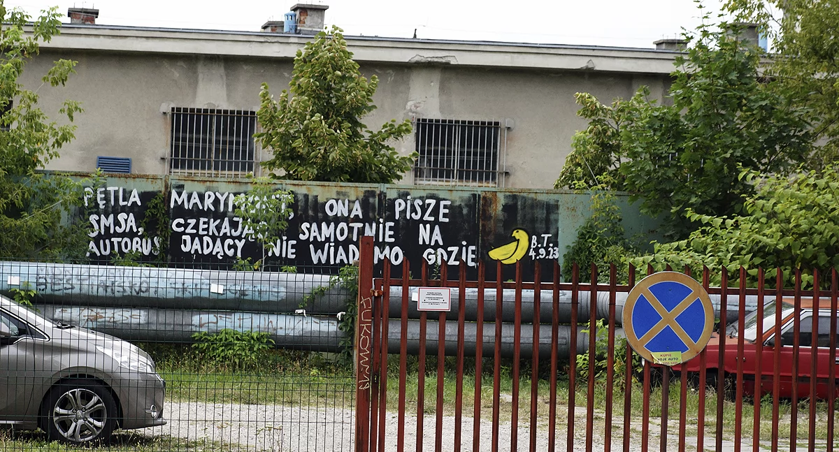 Zdjęcie Polonez 