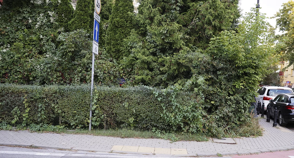 zdjęcie Zielone ulice Żoliborza 