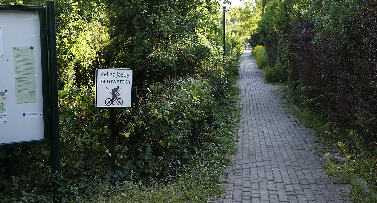 zdjęcie znak zakaz poruszania się rowerami w parkach