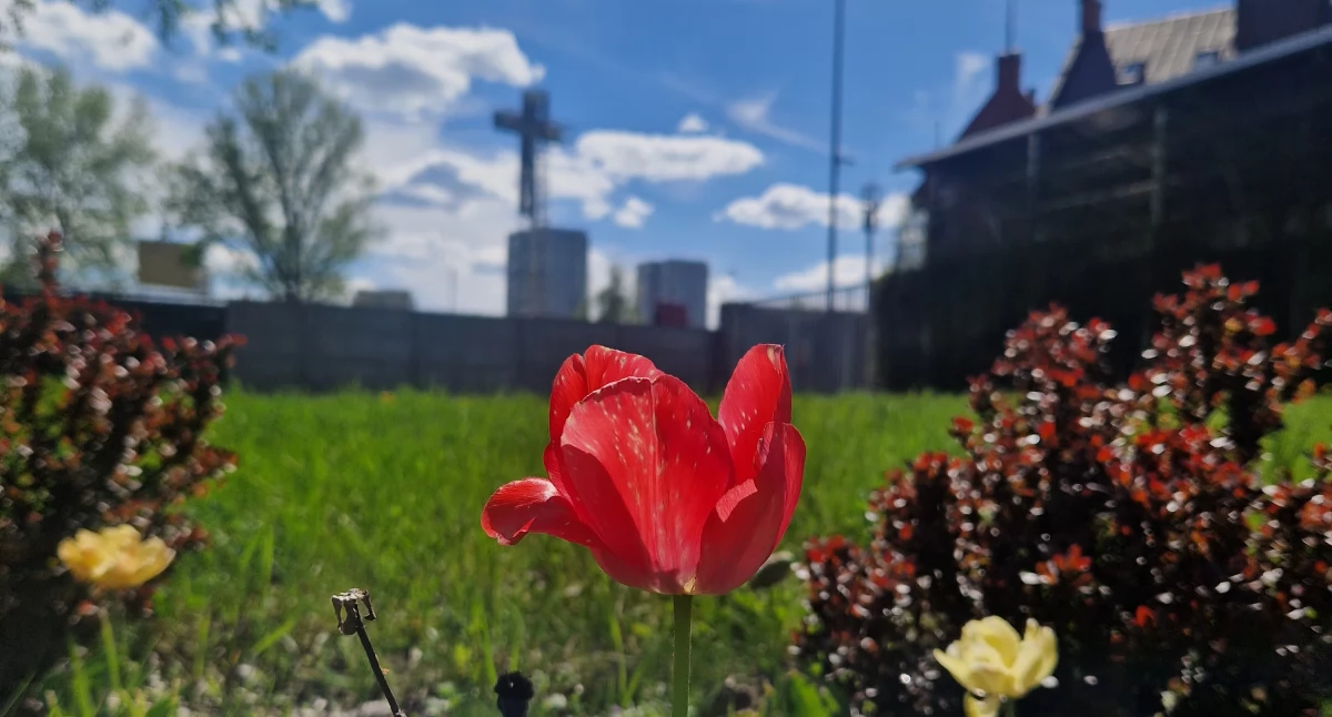 opieka społeczna, Oddajesz wyrzucasz Porozmawiajmy resztkach Wielkanocy jadłodzielni! - zdjęcie, fotografia
