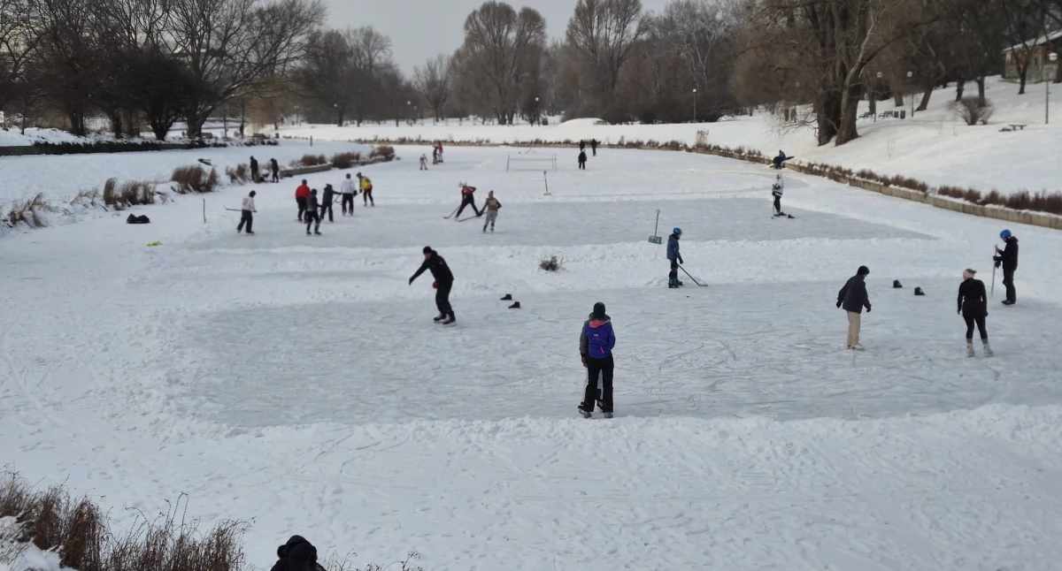 rekreacja, Żoliborzu czyli aktywnie bezpiecznie! - zdjęcie, fotografia