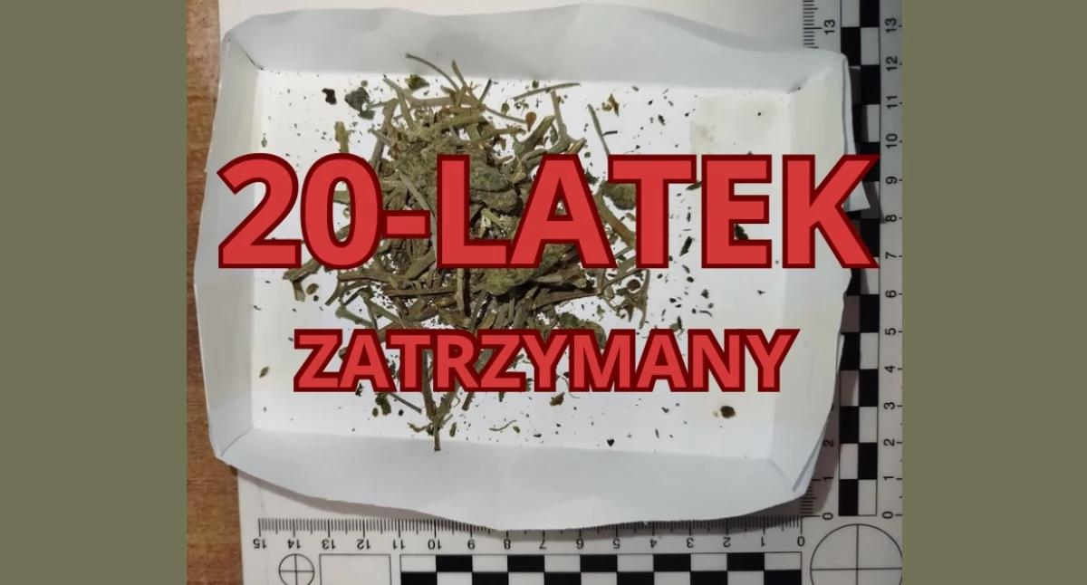Interwencje, Marihuana parapecie latek rękach policji - zdjęcie, fotografia