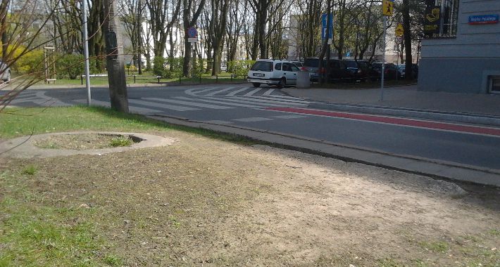 Zdjęcie Tadeusz Kluk-Murdzenski - fotografia