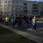 zdjęcie nr 195