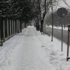zdjęcie nr 12