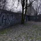 Fotka nr 3 z 8
