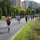 zdjęcie nr 172