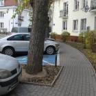 zdjęcie nr 9