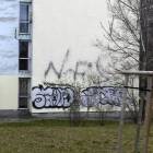Fotka nr 2 z 5