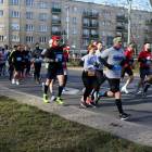 zdjęcie nr 180