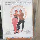 zdjęcie nr 17