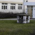 Fotka nr 5 z 9
