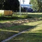 zdjęcie nr 8
