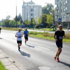 zdjęcie nr 251