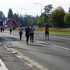 zdjęcie nr 187