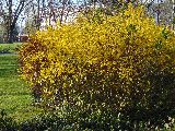 Żoliborz kwiecień 2014 Park Żeromskiego