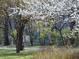 Żoliborz kwiecień 2014 Park Żeromskiego