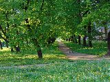 zdjęcie nr 32