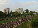 zdjęcie nr 36