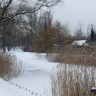zdjęcie nr 8