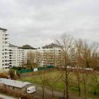 zdjęcie nr 11