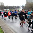 zdjęcie nr 320