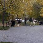 zdjęcie nr 10