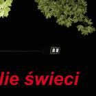 Fotka nr 4 z 5
