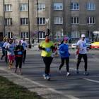 zdjęcie nr 342