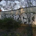 Fotka nr 3 z 5