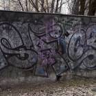Fotka nr 1 z 8