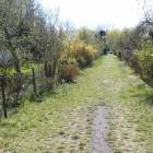 zdjęcie nr 18