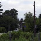Fotka nr 1 z 16