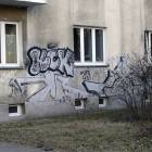 Fotka nr 2 z 17