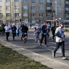 zdjęcie nr 310