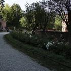 zdjęcie nr 9