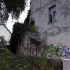 zdjęcie nr 13