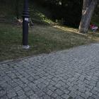 zdjęcie nr 8