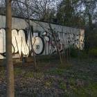 Fotka nr 2 z 5